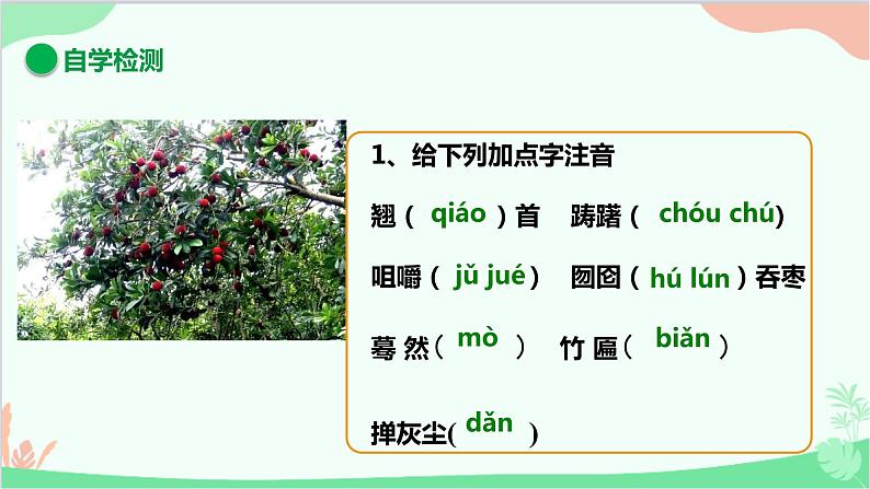 统编版语文九年级下册 19.枣儿课件第5页