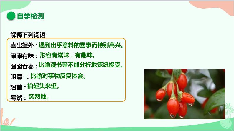统编版语文九年级下册 19.枣儿课件第6页