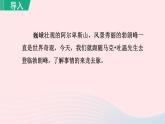 2024春八年级语文下册第5单元19登勃朗峰第1课时教学课件（部编版）
