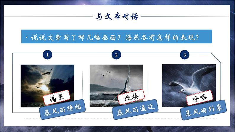 部编版语文九下 4.海燕（课件PPT）07
