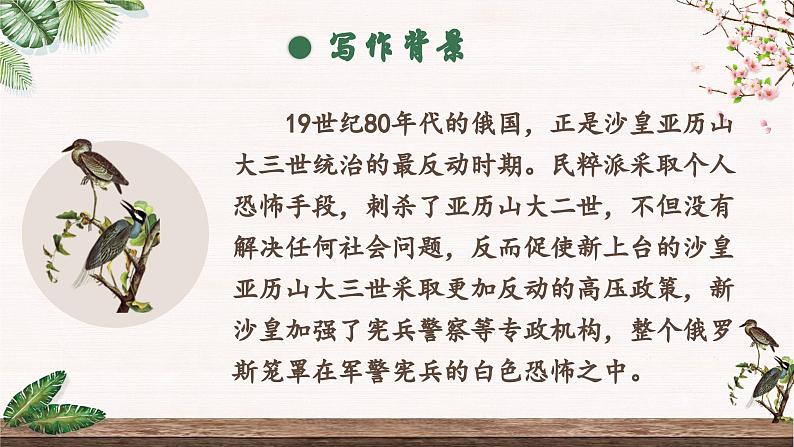 部编版语文九下 6.变色龙（课件PPT）04