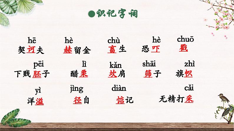 部编版语文九下 6.变色龙（课件PPT）05