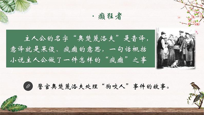 部编版语文九下 6.变色龙（课件PPT）06