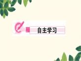 部编版语文八年级上册第三单元习题课件
