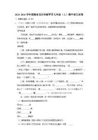 2023-2024学年福建省龙岩市新罗区七年级（上）期中语文试卷