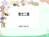统编版语文八年级上册16 散文二篇课件