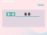 陕西专版2024春九年级语文下册第一单元4海燕作业课件新人教部编版