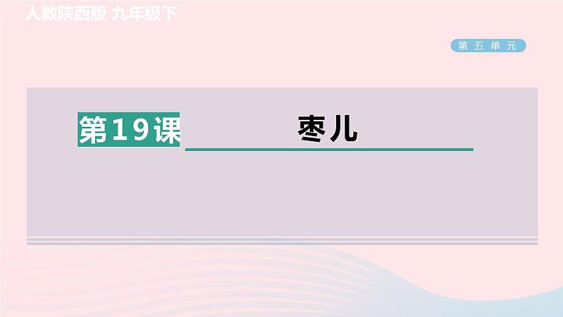 陕西专版2024春九年级语文下册第五单元19枣儿作业课件新人教部编版01
