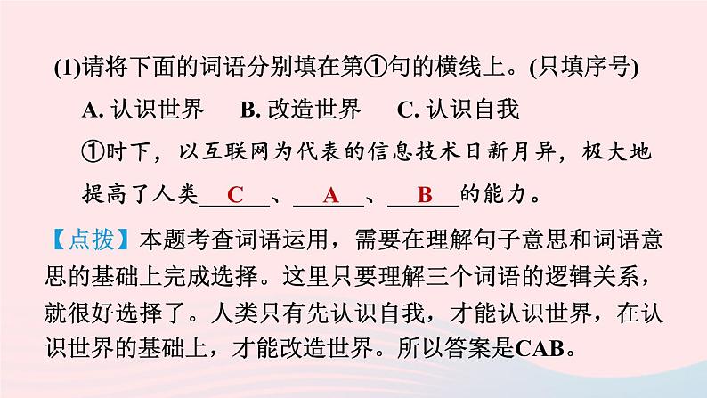 陕西专版2024春九年级语文下册专项训练一基础积累与运用考点3语段综合作业课件新人教部编版08