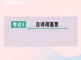 陕西专版2024春九年级语文下册专项训练二古诗文积累与阅读考点6古诗词鉴赏作业课件新人教部编版