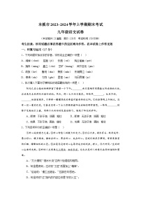 辽宁省本溪市2023-2024学年九年级上册期末语文试题（含解析）