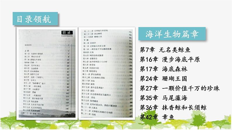 统编版语文七年级下册 第六单元 名著导读：《海底两万里》 快速阅读【第一课时】课件第7页