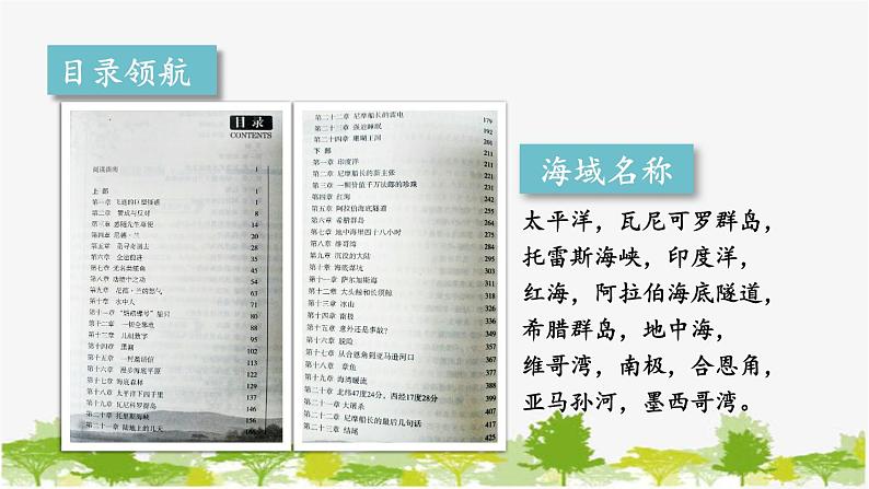 统编版语文七年级下册 第六单元 名著导读：《海底两万里》 快速阅读【第一课时】课件第8页