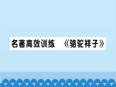部編版語文七年級下冊第三單元習題課件