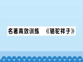 部编版语文七年级下册第三单元习题课件