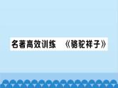 部编版语文七年级下册第三单元习题课件