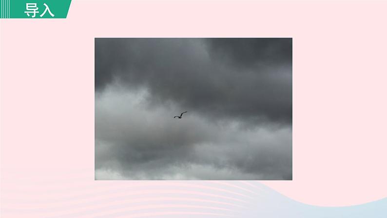 2024春九年级语文下册第1单元4海燕第1课时教学课件（部编版）02