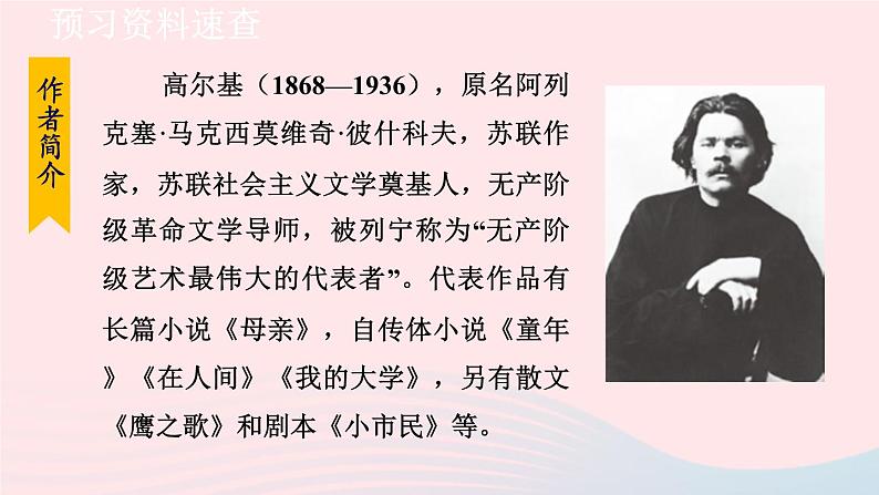 2024春九年级语文下册第1单元4海燕第1课时教学课件（部编版）08