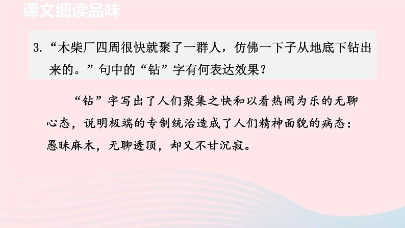 2024春九年级语文下册第2单元6变色龙第2课时教学课件（部编版）05