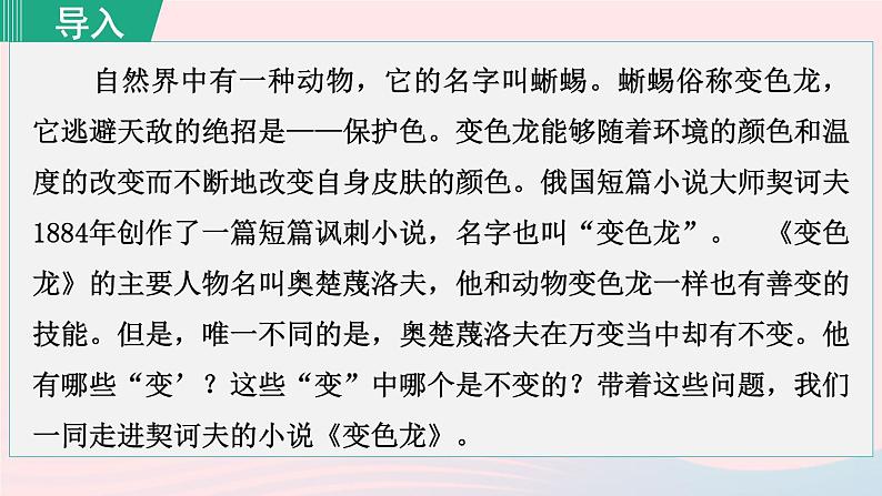 2024春九年级语文下册第2单元6变色龙第1课时教学课件（部编版）04
