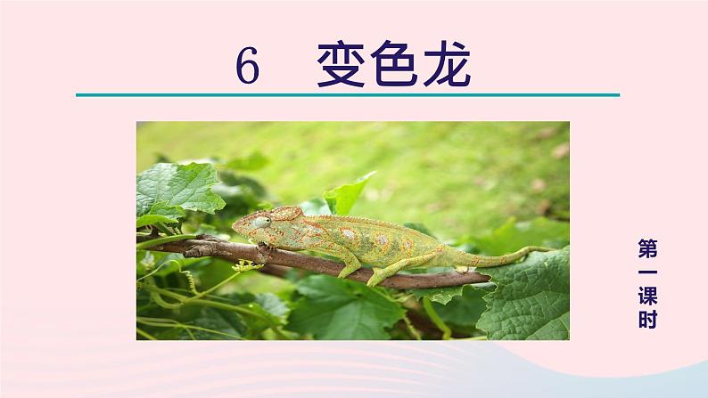 2024春九年级语文下册第2单元6变色龙第1课时教学课件（部编版）05