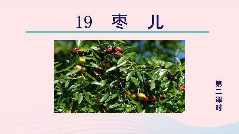 2024春九年级语文下册第5单元19枣儿第2课时教学课件（部编版）第1页