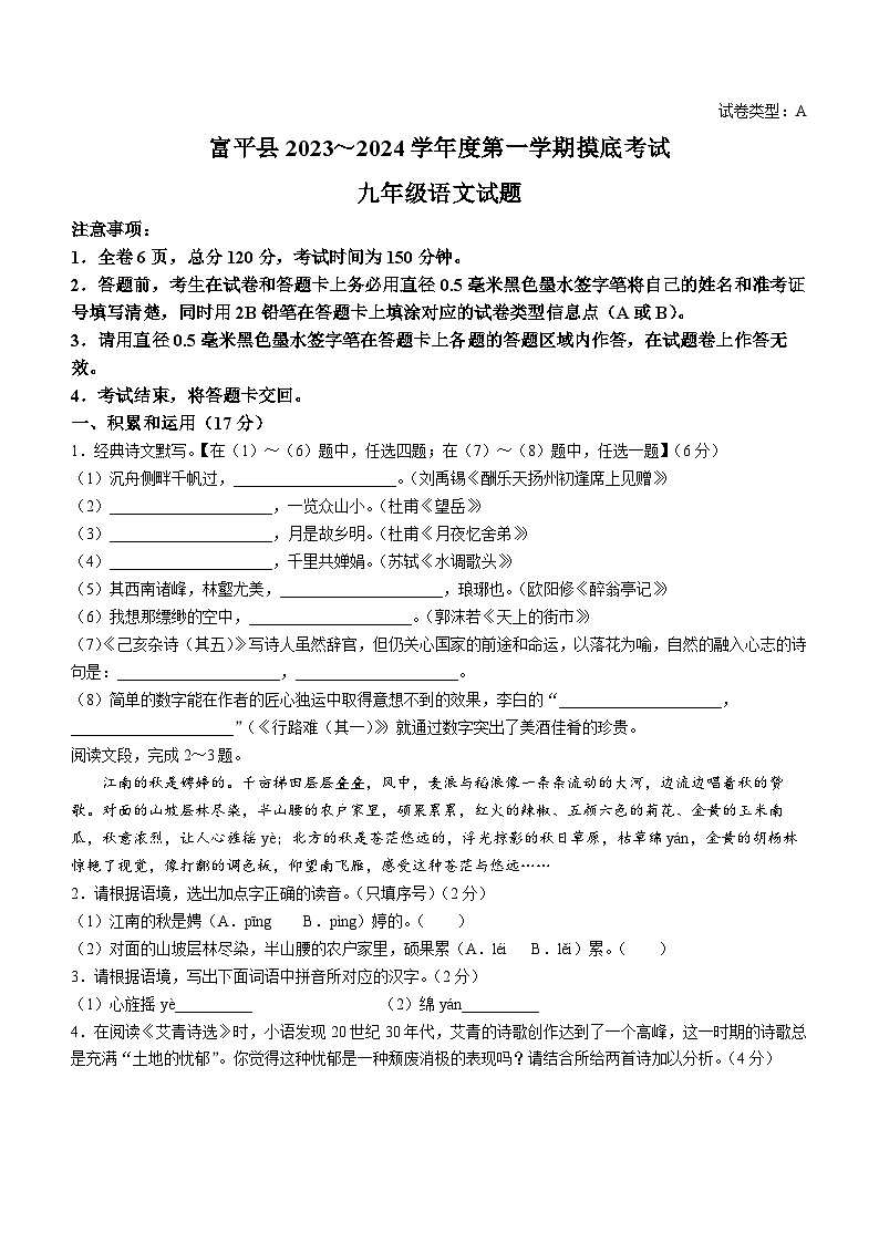 陕西省渭南市富平县2023-2024学年九年级上学期期末语文试题第1页