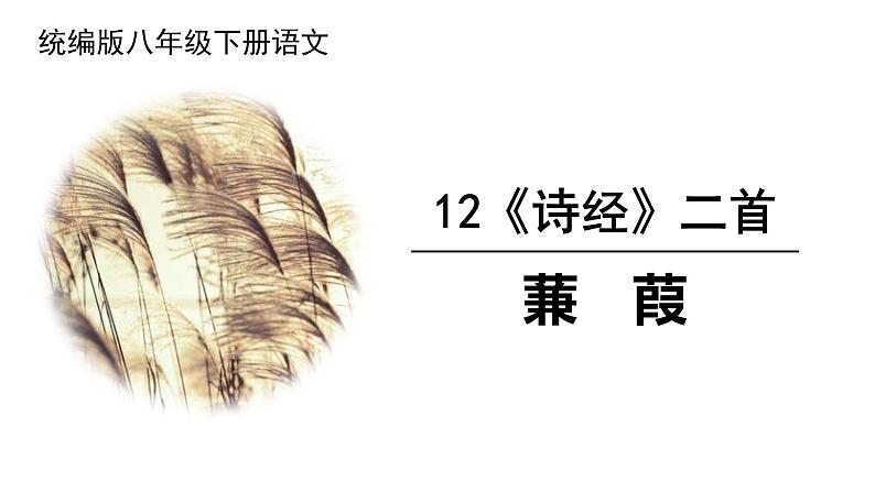 部编版八下语文第三单元《蒹葭》同步课件第1页