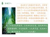 部编版八下语文第二单元〈大自然的语言同步课件〉