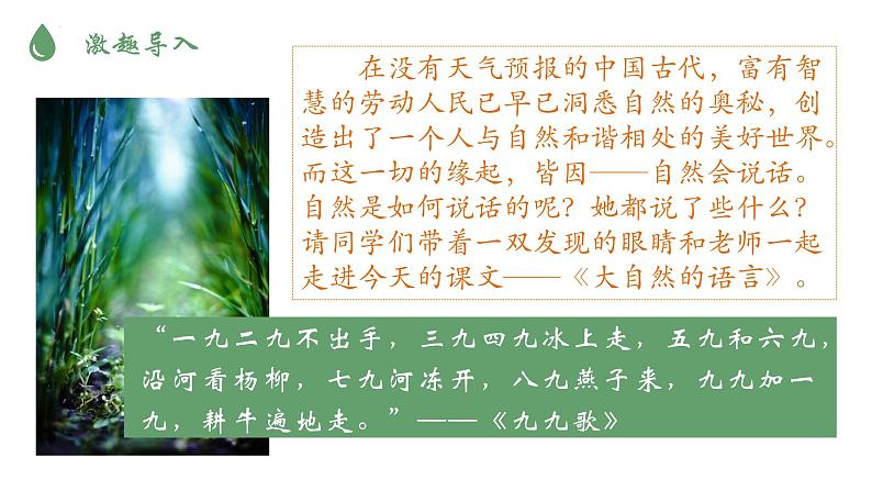 部编版八下语文第二单元〈大自然的语言同步课件〉05