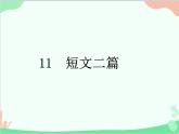 统编版语文八年级上册 11 短文二篇  课件