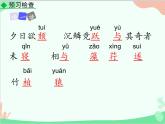 统编版语文八年级上册 11 短文二篇 -课件