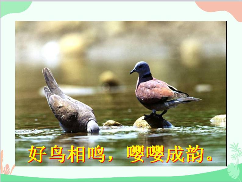 统编版语文八年级上册 12 与朱元思书课件06