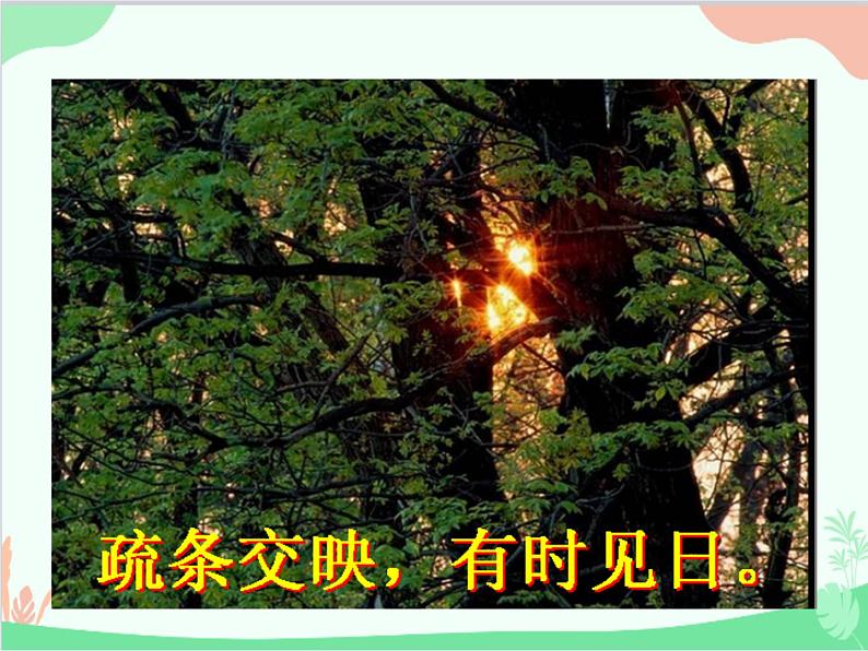 统编版语文八年级上册 12 与朱元思书课件07