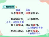 统编版语文八年级上册 13 唐诗五首 课件