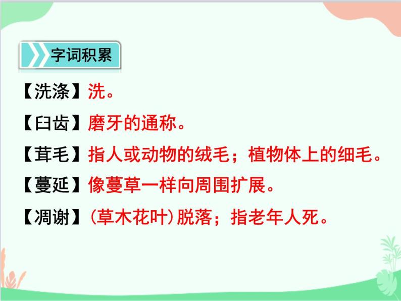 统编版语文八年级上册 16 散文二篇 课件07