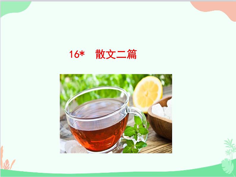 统编版语文八年级上册 16 散文二篇课件第1页