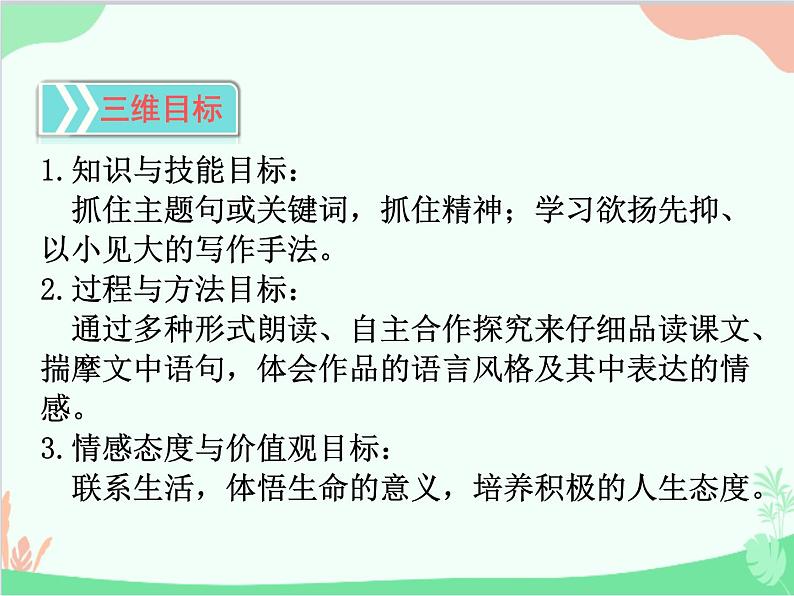 统编版语文八年级上册 20 蝉 课件02