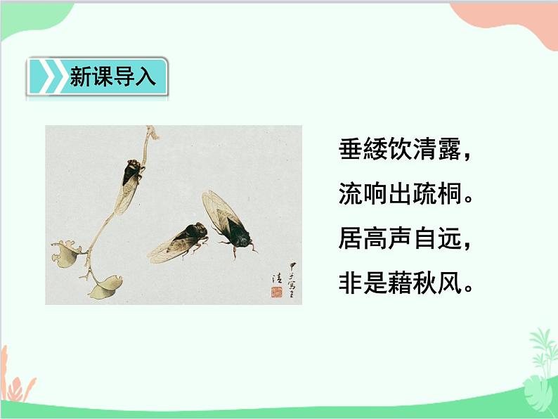 统编版语文八年级上册 20 蝉 课件04