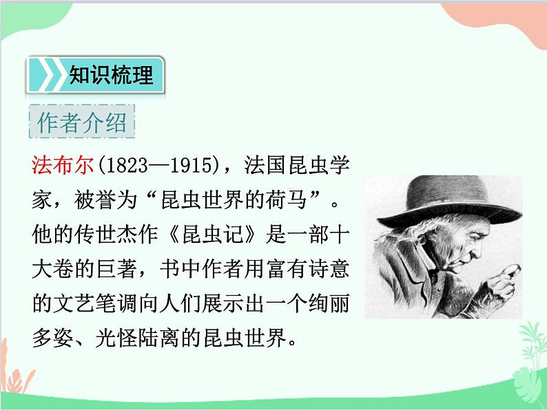 统编版语文八年级上册 20 蝉 课件05