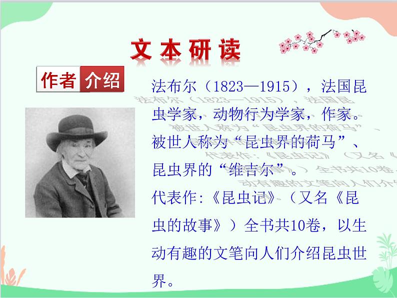 统编版语文八年级上册 20 蝉课件06