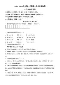 河北省唐山市迁安市2022-2023学年七年级下学期期中语文试题（解析版+原卷版）