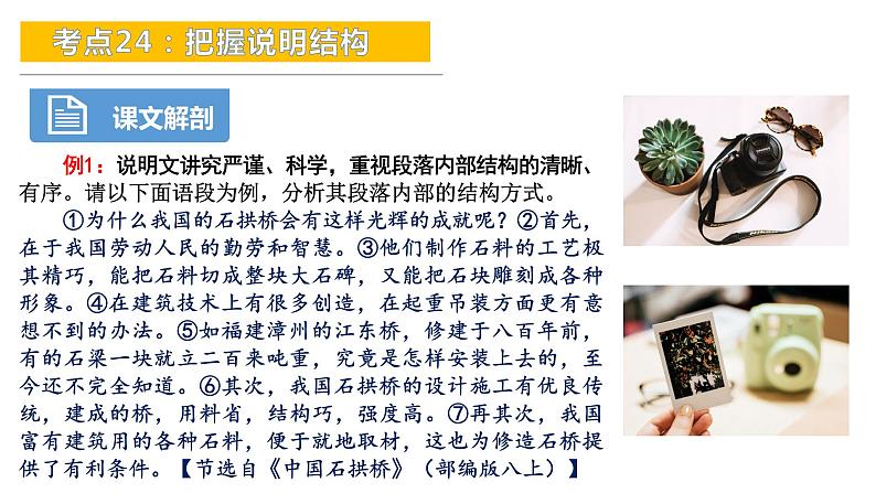 考点24：把握说明结构-备战2024年中考语文现代文阅读高频考点精讲课件（全国通用）第8页