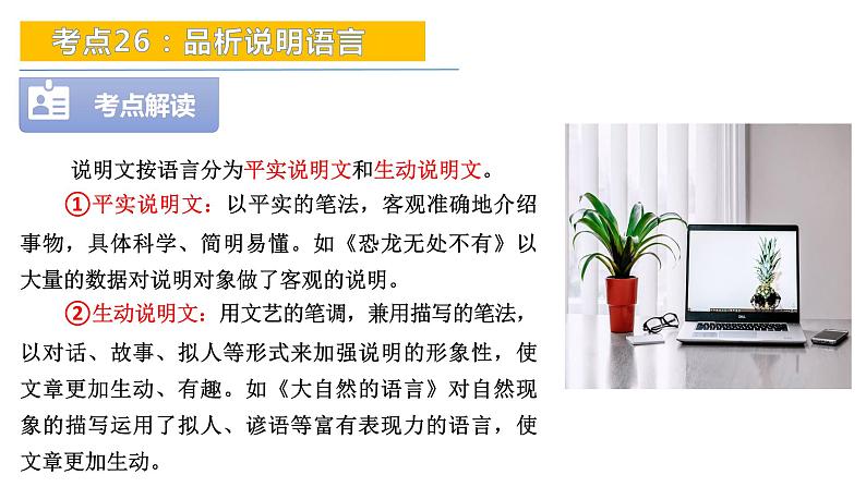 考点26：品析说明语言-备战2024年中考语文现代文阅读高频考点精讲课件（全国通用）第6页
