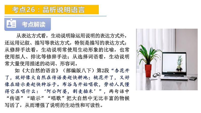 考点26：品析说明语言-备战2024年中考语文现代文阅读高频考点精讲课件（全国通用）第8页