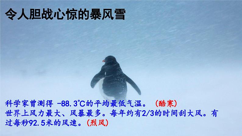 22 伟大的悲剧 （课件）七年级下册语文2023-2024学年 部编版第5页
