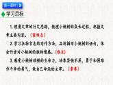 19 一颗小桃树（课件）七年级下册语文2023-2024学年 部编版