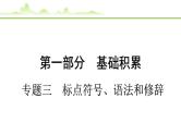 2024年中考语文复习课件---专题三　标点符号、语法和修辞