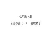 第三单元名著导读《骆驼祥子》课件++2023—2024学年统编版语文七年级下册