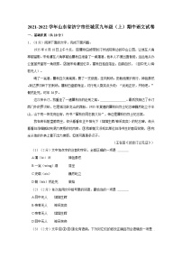 2021-2022学年山东省济宁市任城区九年级（上）期中语文试卷